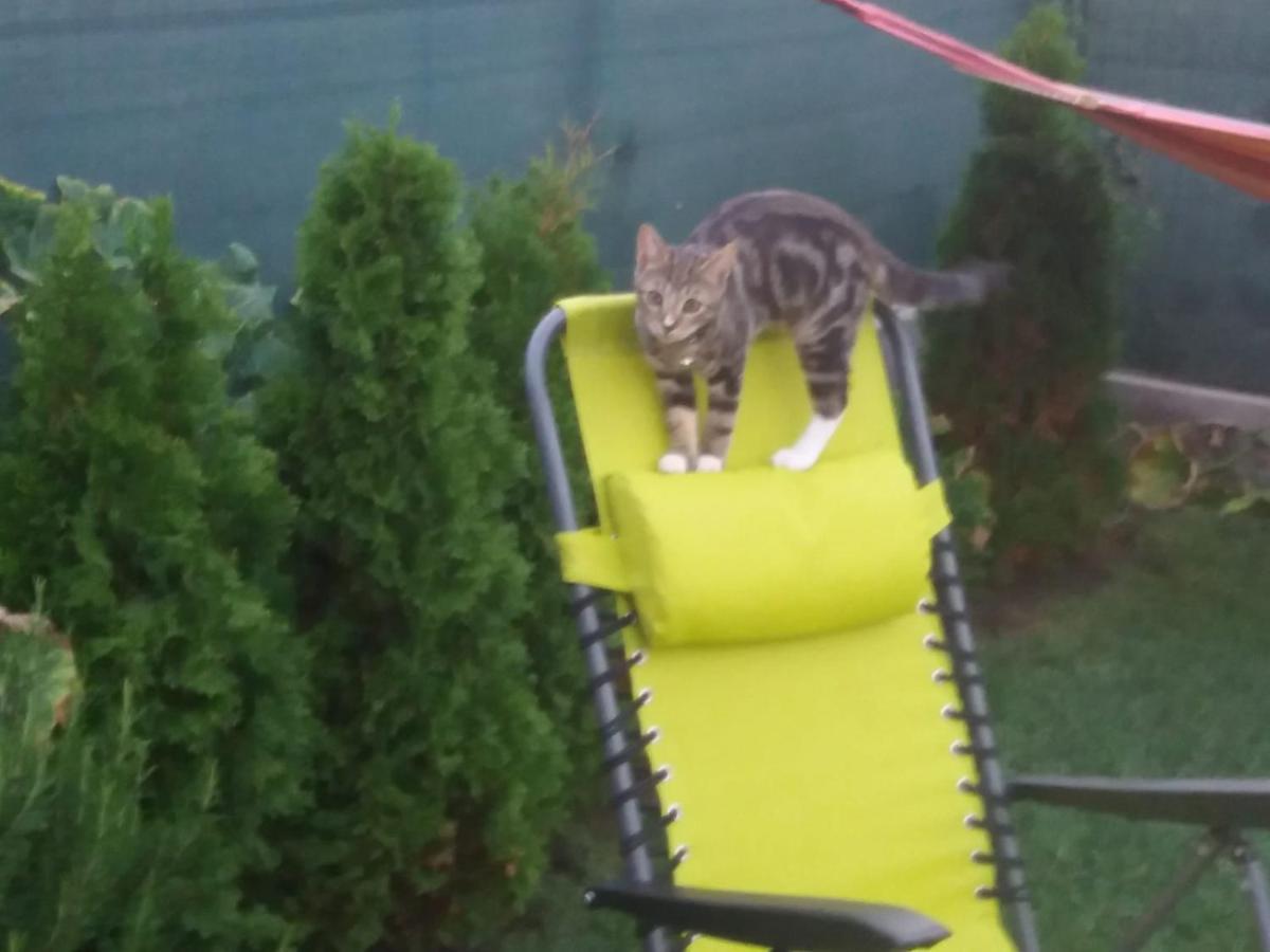Casa Mura Două Mai Dış mekan fotoğraf