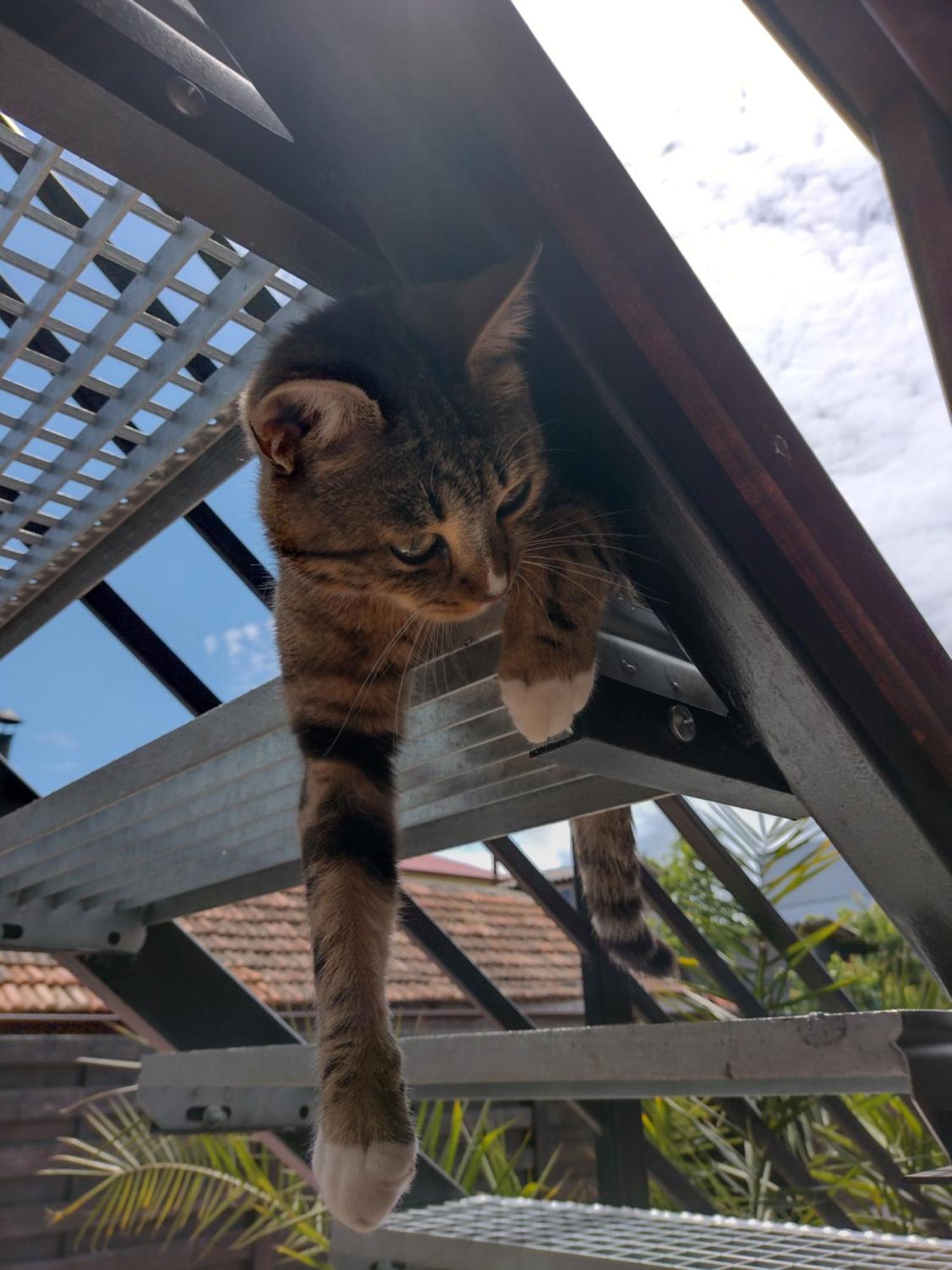 Casa Mura Două Mai Oda fotoğraf