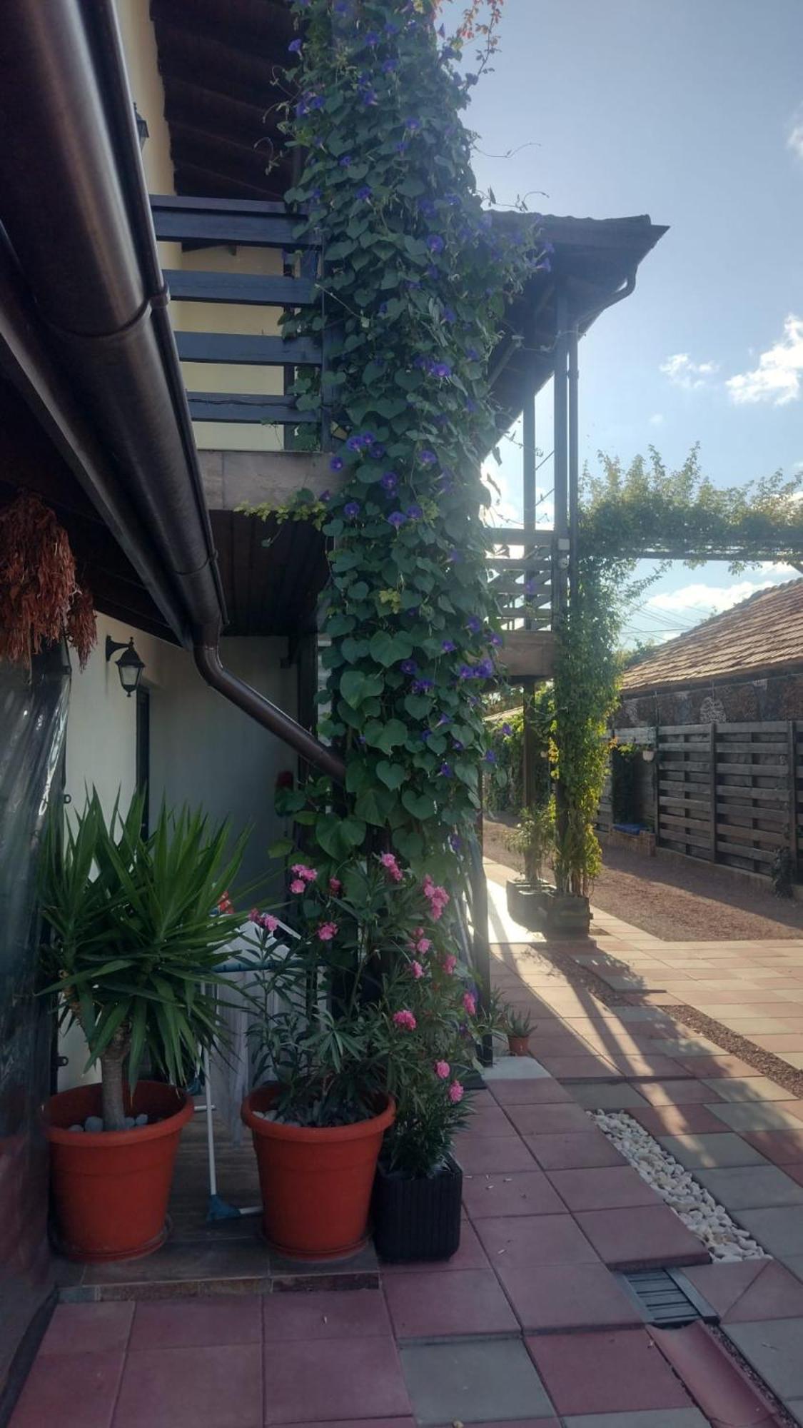 Casa Mura Două Mai Dış mekan fotoğraf