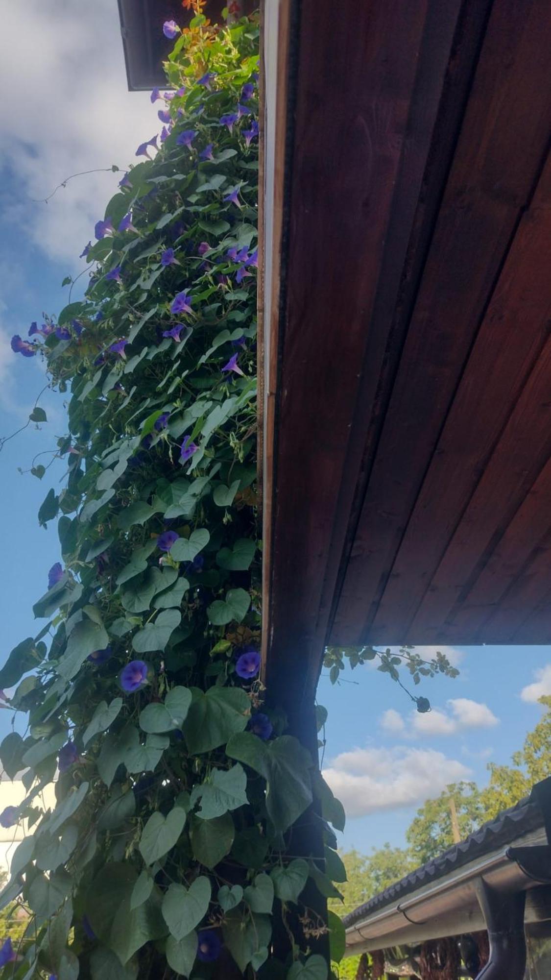 Casa Mura Două Mai Dış mekan fotoğraf